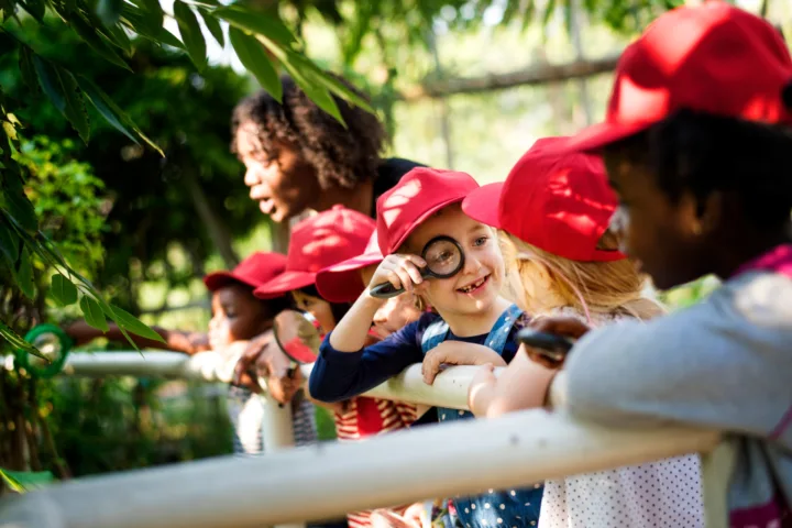 dr seuss outdoor activities