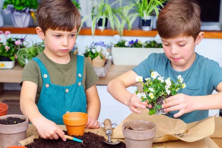 indoor activities for boys