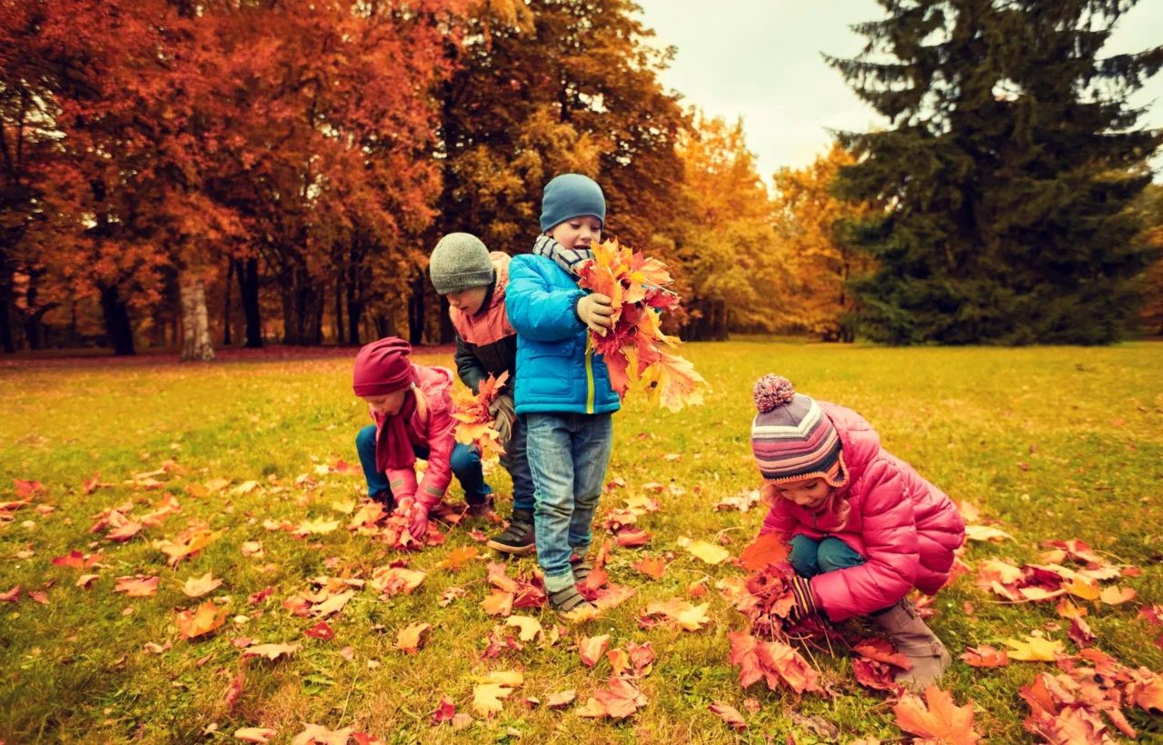 outdoor autumn activities eyfs
